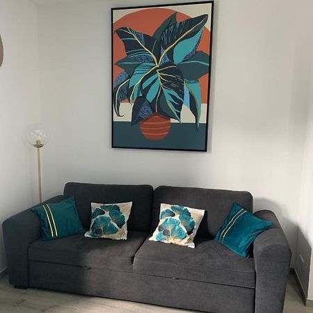 Appartement Etat Neuf La Chantalane -Proche Centre-Ville Cannes Exteriér fotografie